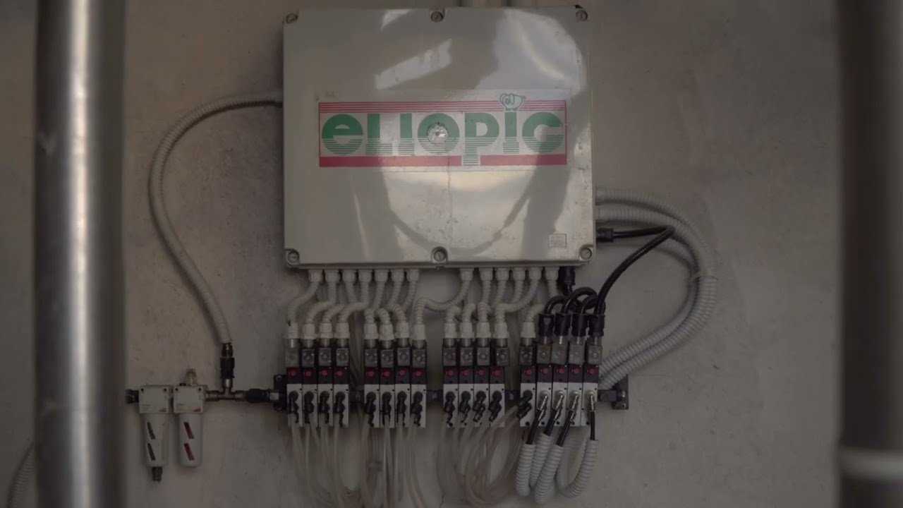 Impianto zootecnico per allevatori  | Eliopig