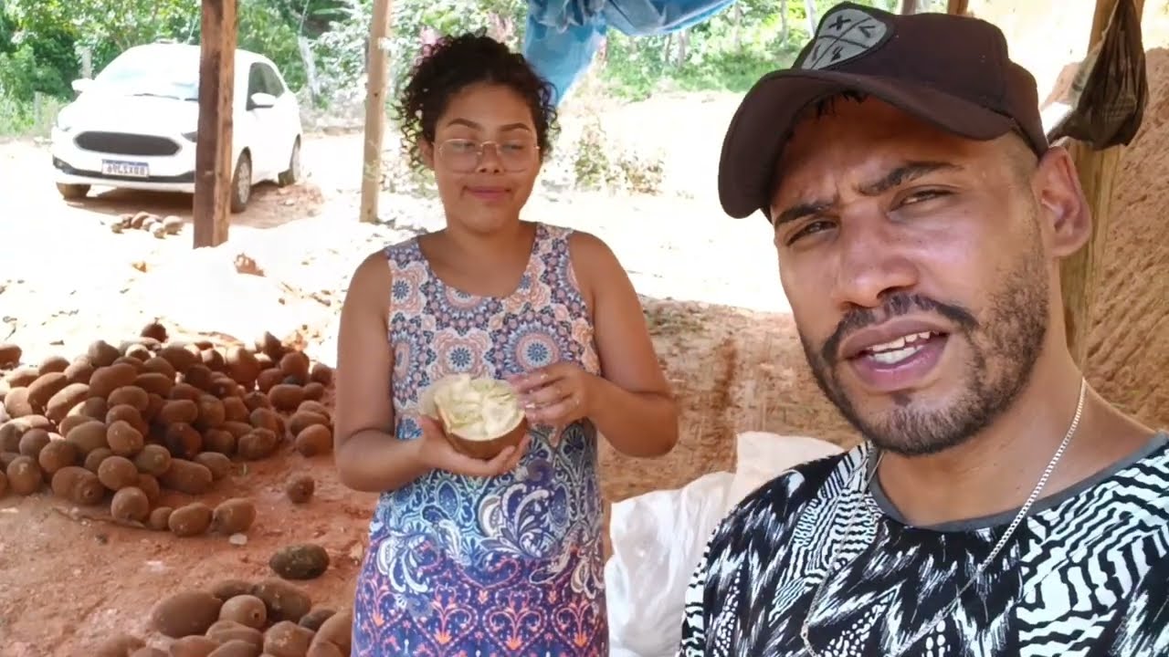 Agricultura famíliar Brasileira - COLHEITA DE CUPUAÇU 