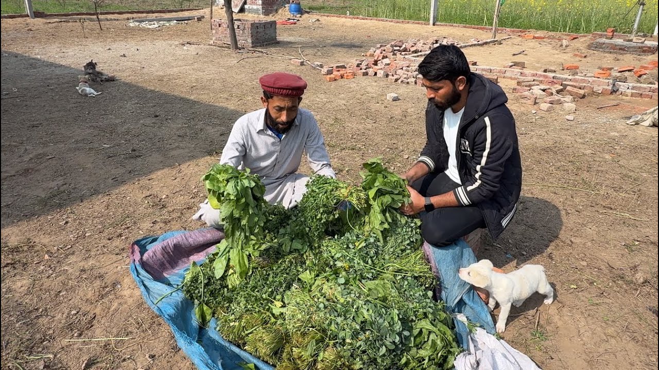Sabzi Ka Kaam Bhi Khatry Main🥵😱 | Azmat | Mandi Say Sabzi Wapas Aa Gai