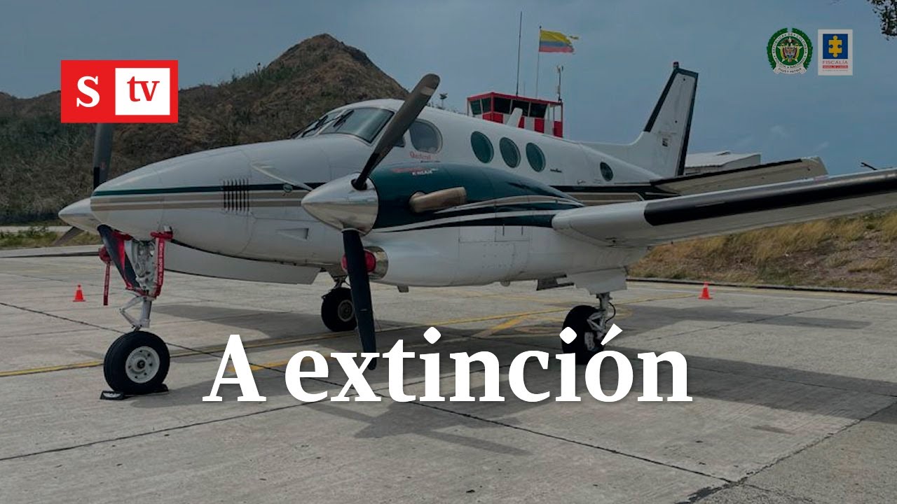 Extinción de dominio a la avioneta del esposo de Alejandra Azcarate | Semana Noticias