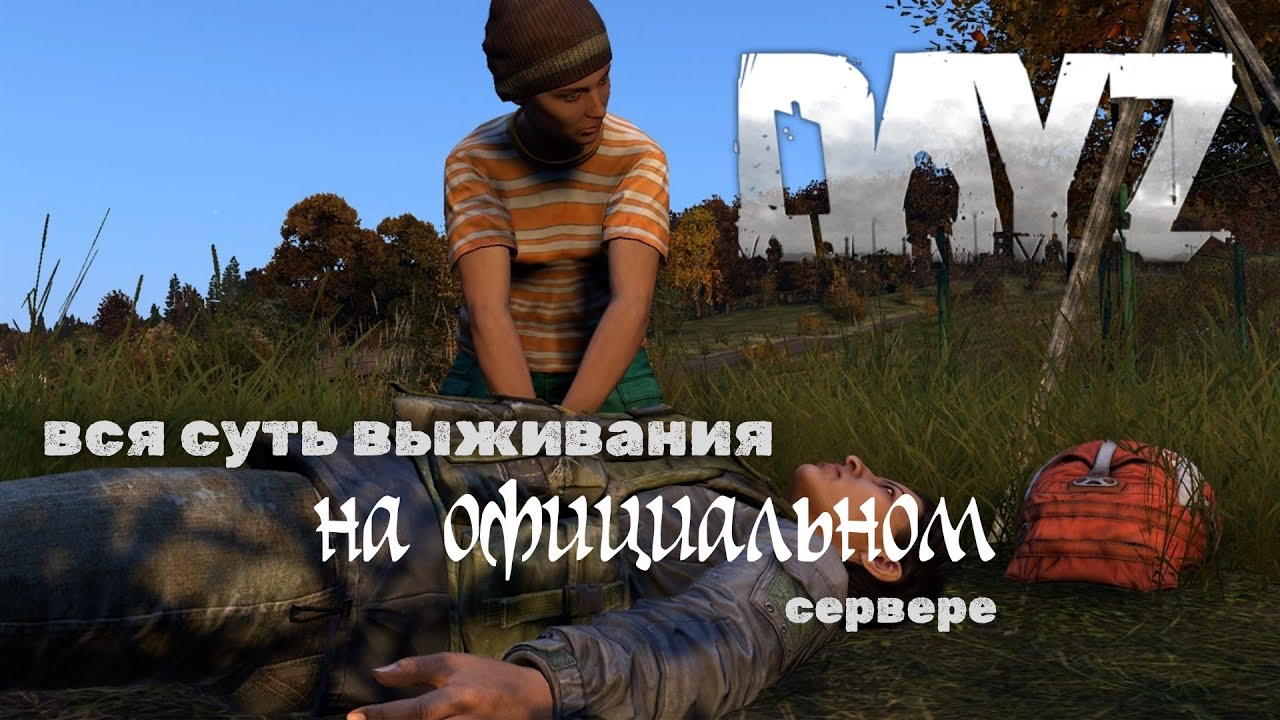 Вся суть игры на официальном сервере DayZ