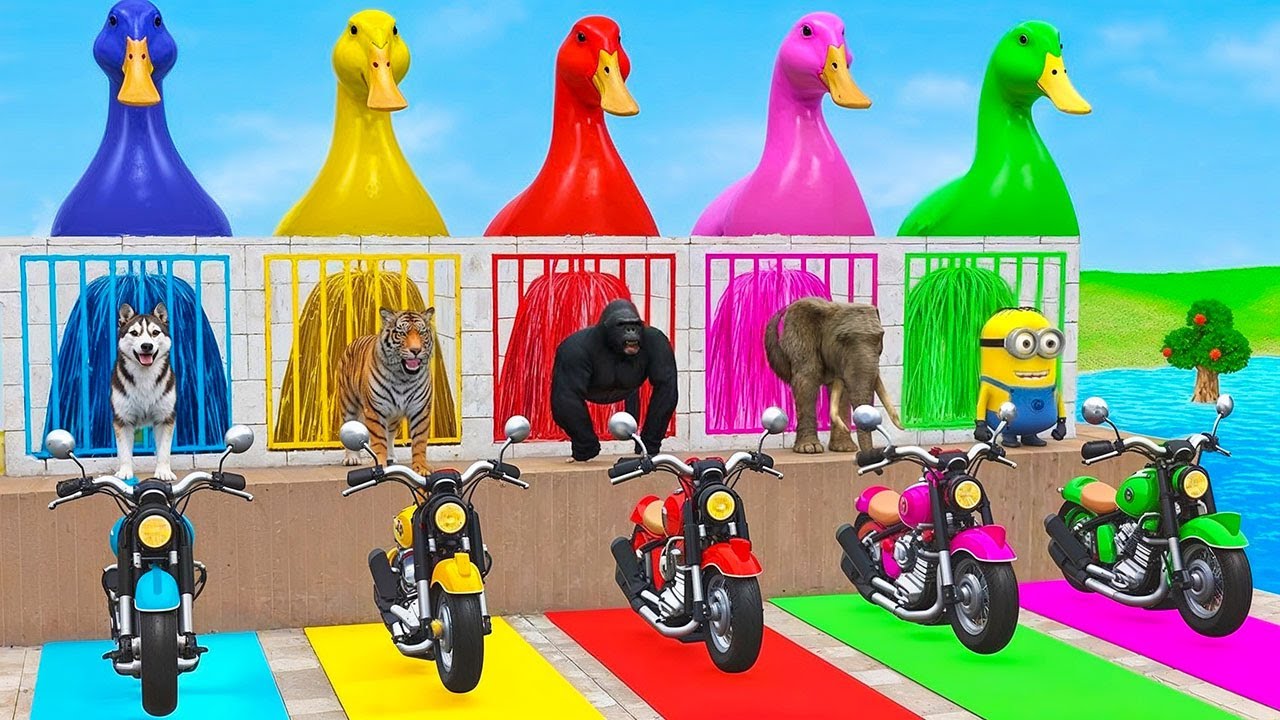 Long Slide Game with Cow Elephant Gorilla Hippopotamus Tiger 3d Animal Game Funny 3d Animals