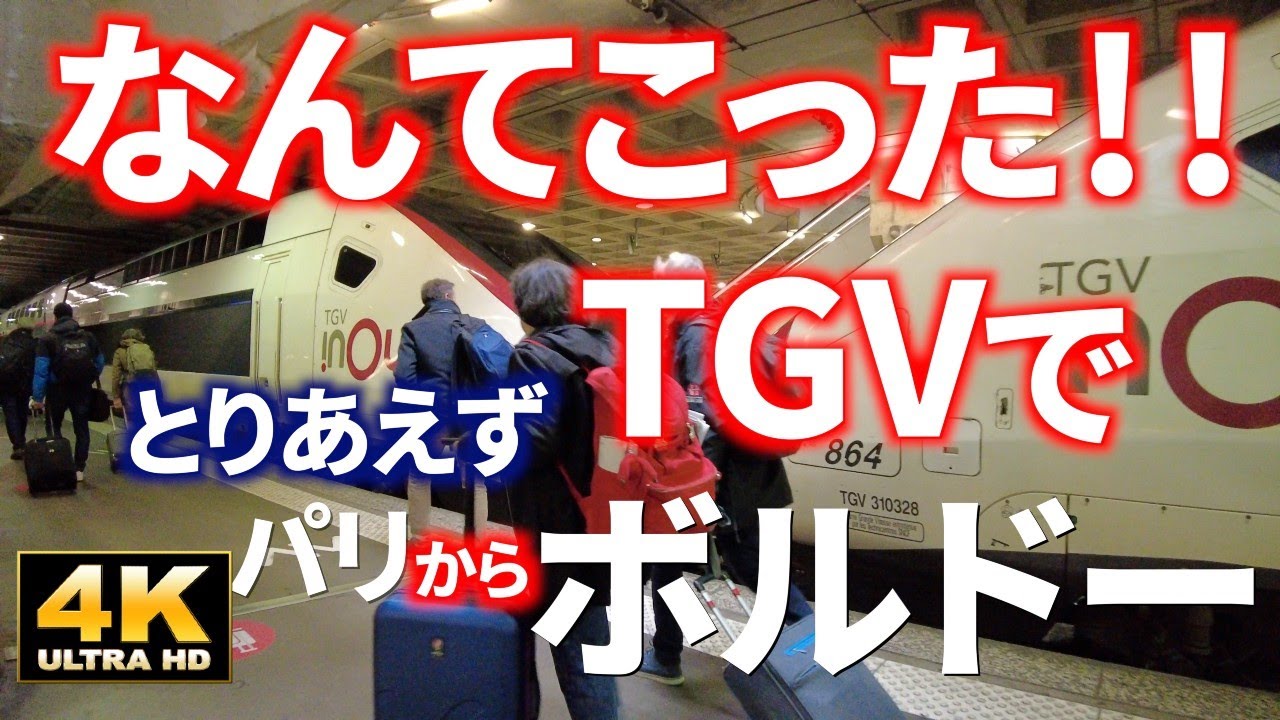 パリからビアリッツへの旅 2023・春 エピソード１ フランスのストも何のその❗️「とりあえずボルドーまで行ってみました😅」🇫🇷