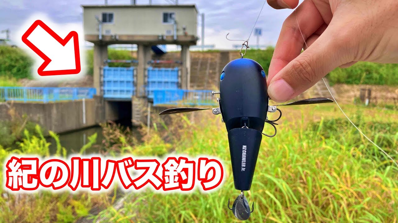 和歌山県紀ノ川でバス釣り！有名ポイントを巡ってランガンしていく【車中泊バス釣り】