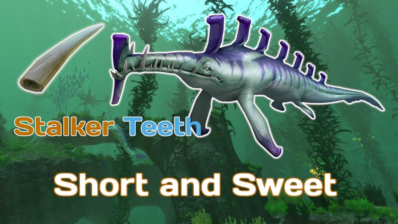Stalker Teeth Location: Subnautica Tutorial