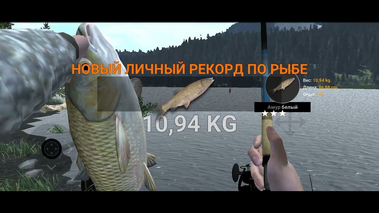 Поймал крупную щуку и белого амура в Professional fishing 2🦈
