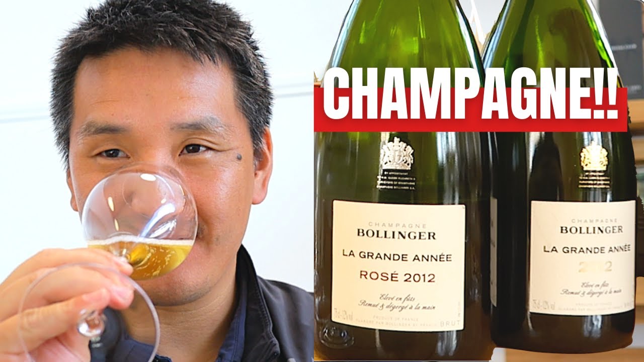 What makes Champagne, CHAMPAGNE!!?? A Journey through the region