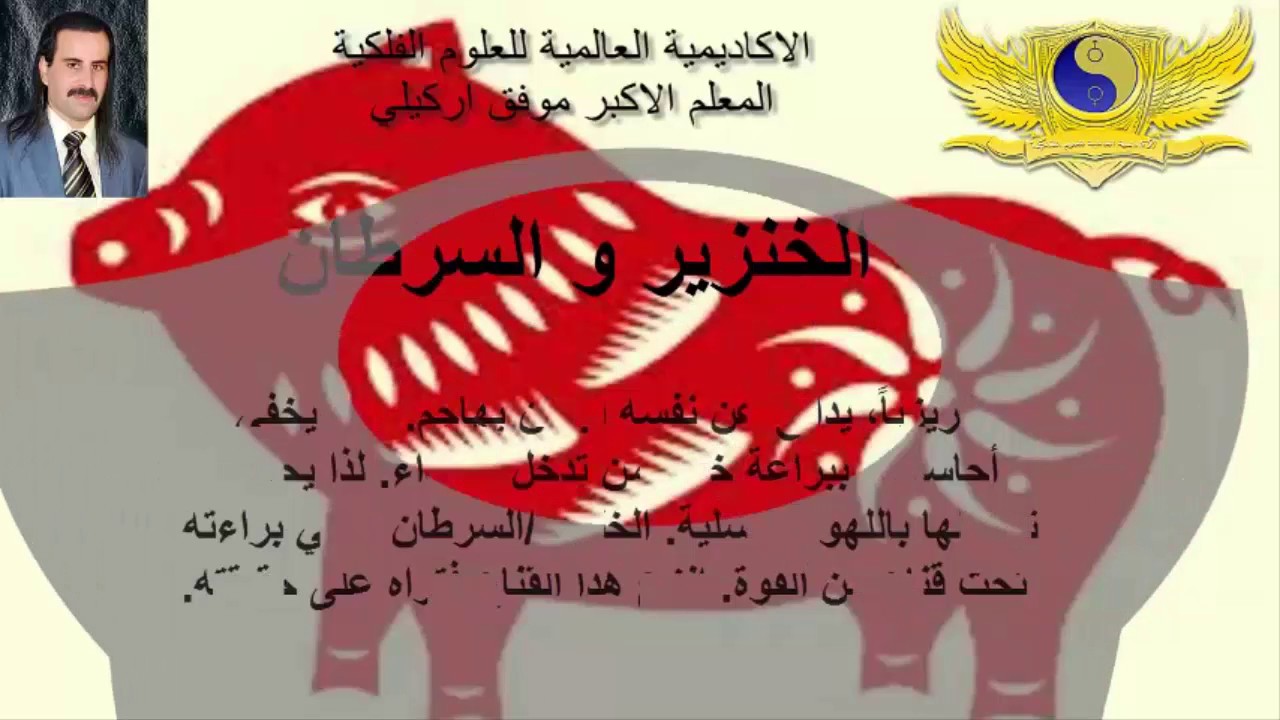 الابراج الصينية _برج الخنزير