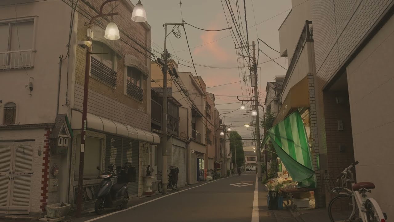 【4K120秒】夕方の情景はまさに昭和そのもの・薄暗くなっていく感じが懐かしい「池袋」と名の付く街の今～豊島区池袋本町4、3、2丁目、板橋区大山金井町