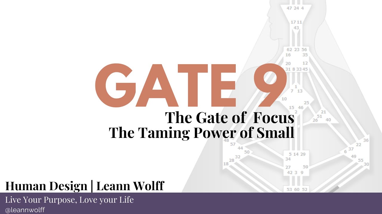 Human Design - Gate 9