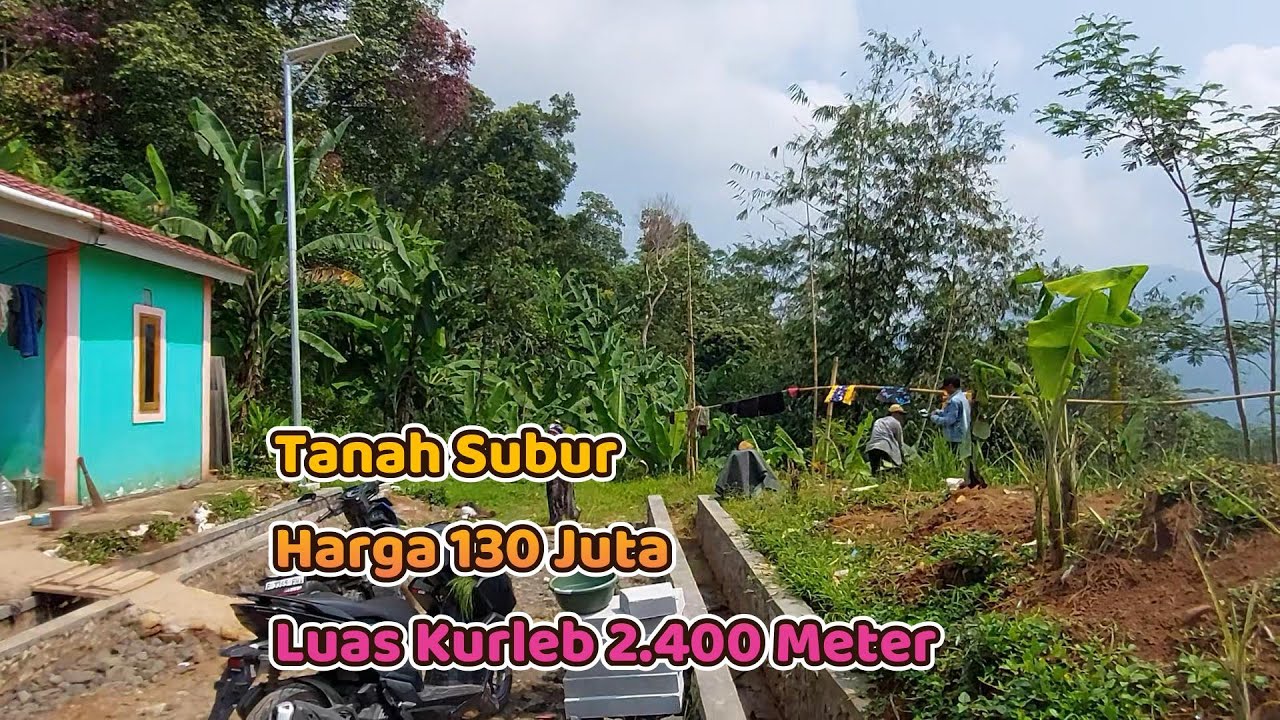 Adjacent to a housing complex. Land area 2,400 square meters. Price 130 million rupiah.