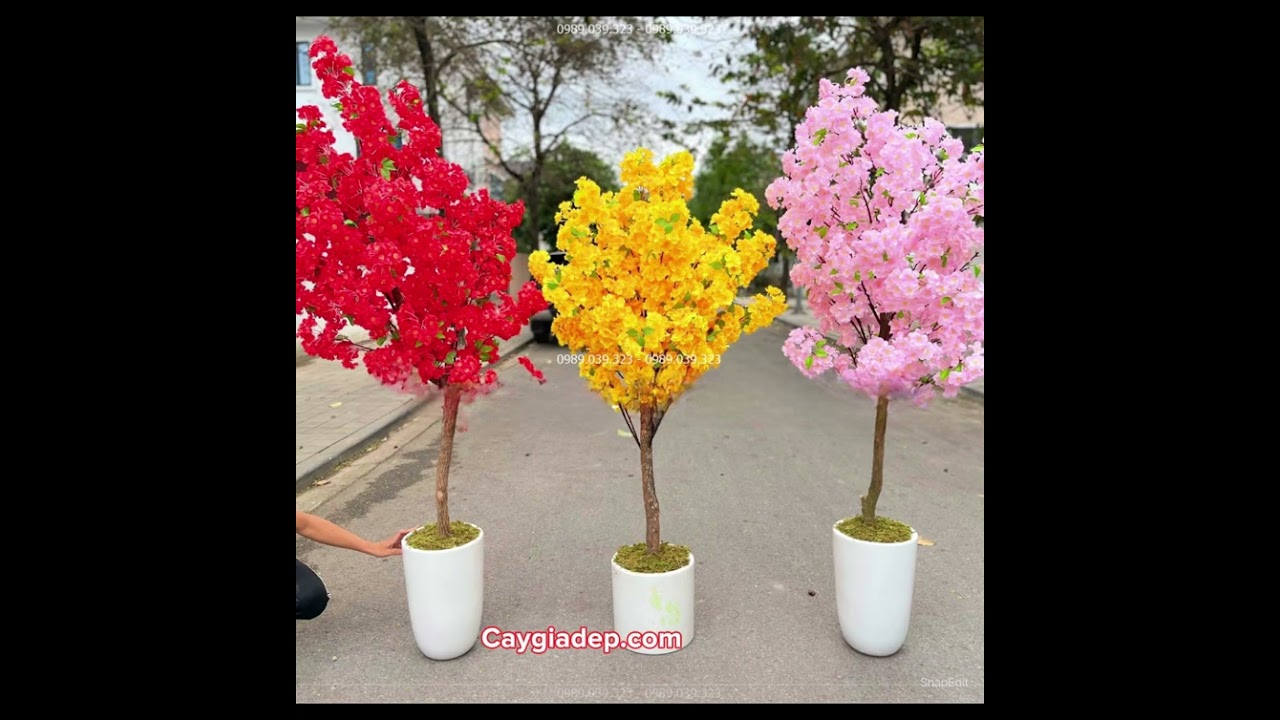 Cây Hoa Anh Đào Giả