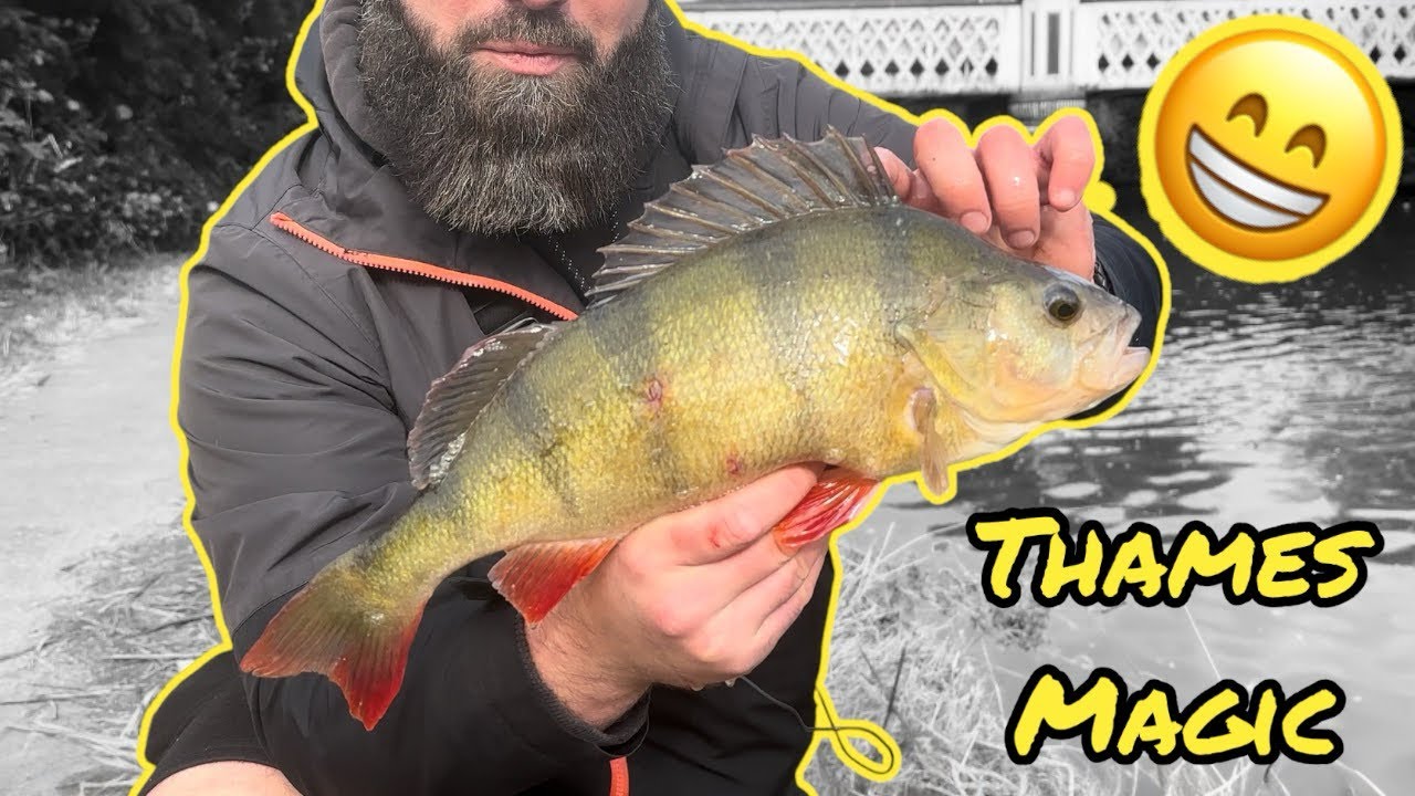 Рыбалка на приманку на реке Темзе с Карен @blankmasterfishing