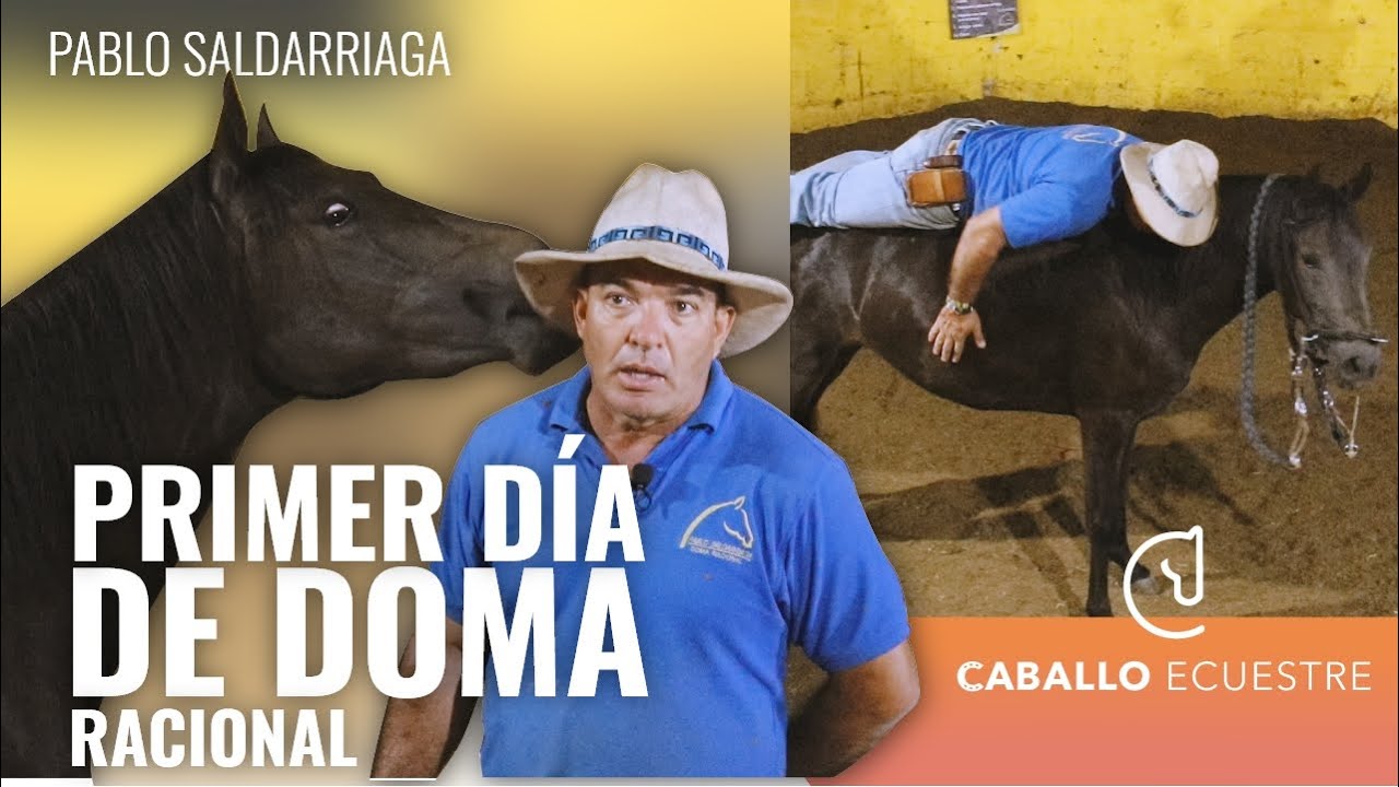 🐴 PRIMERA ENSILLADA DE POTRANCA NEGRA ⚡💣