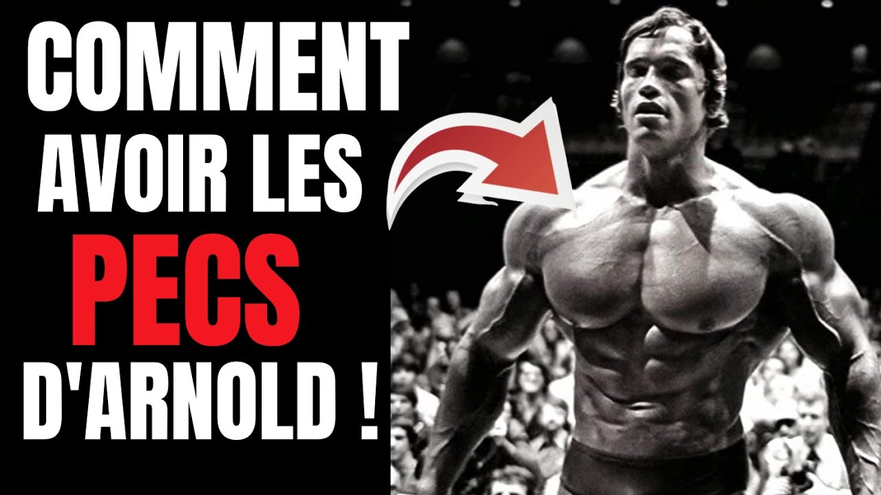 Comment Avoir les PECS D'ARNOLD ! ( je décortique tout )