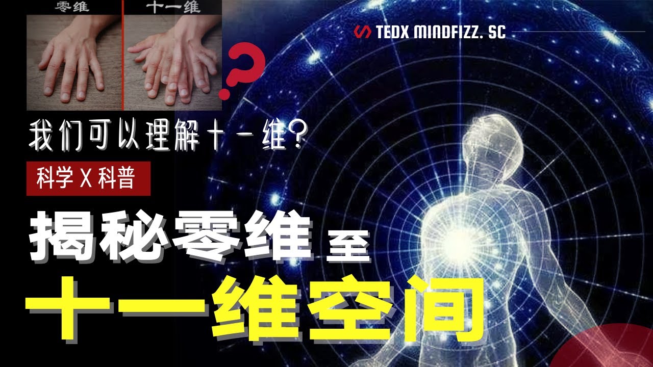 平行空间 | 十一维度 | 你可以理解这里说明的5维以上的世界吗？从零维到十一维，看懂了你就是神。了解维度的秘密，涉及多个学科，学会就能装逼 |  泰迪仔x 脑洞科普汇