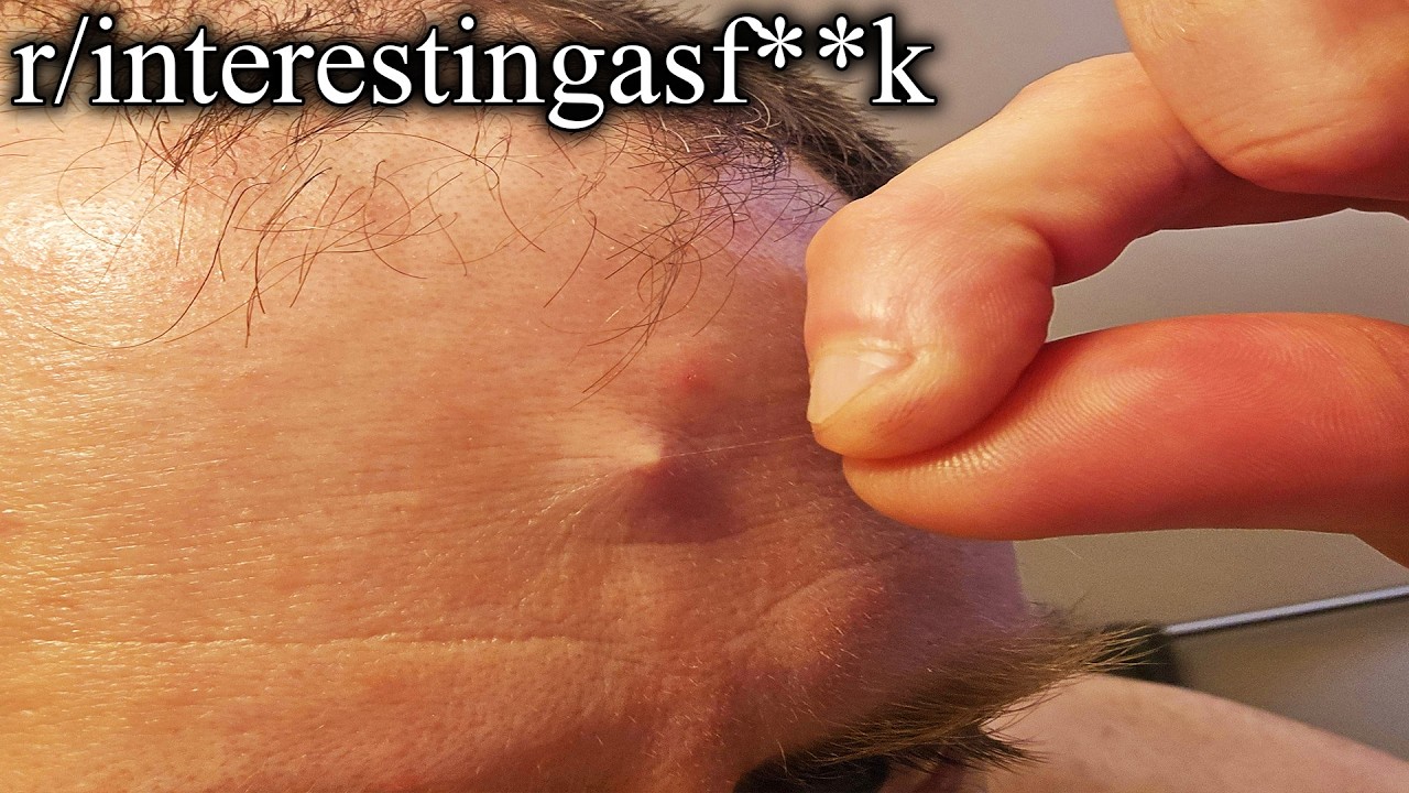 the internet’s most interesting finds