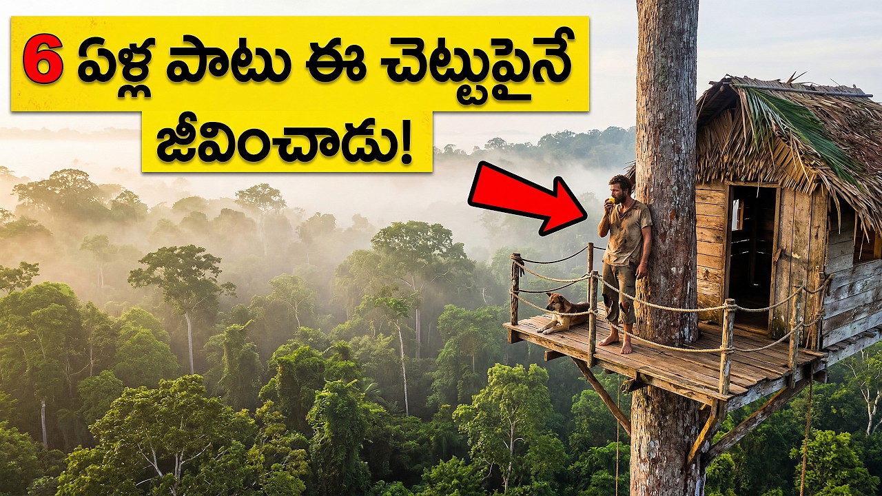 6 ఏళ్లు నేల మీద కాలు పెట్టకుండా చెట్టు పైనే ఎలా బతికాడు? 😰 | Survival Story of Daniel Foster
