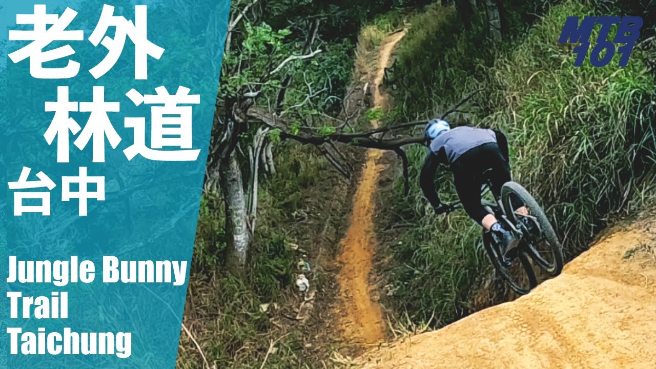 台中市區的登山車聖地 — 老外林道
