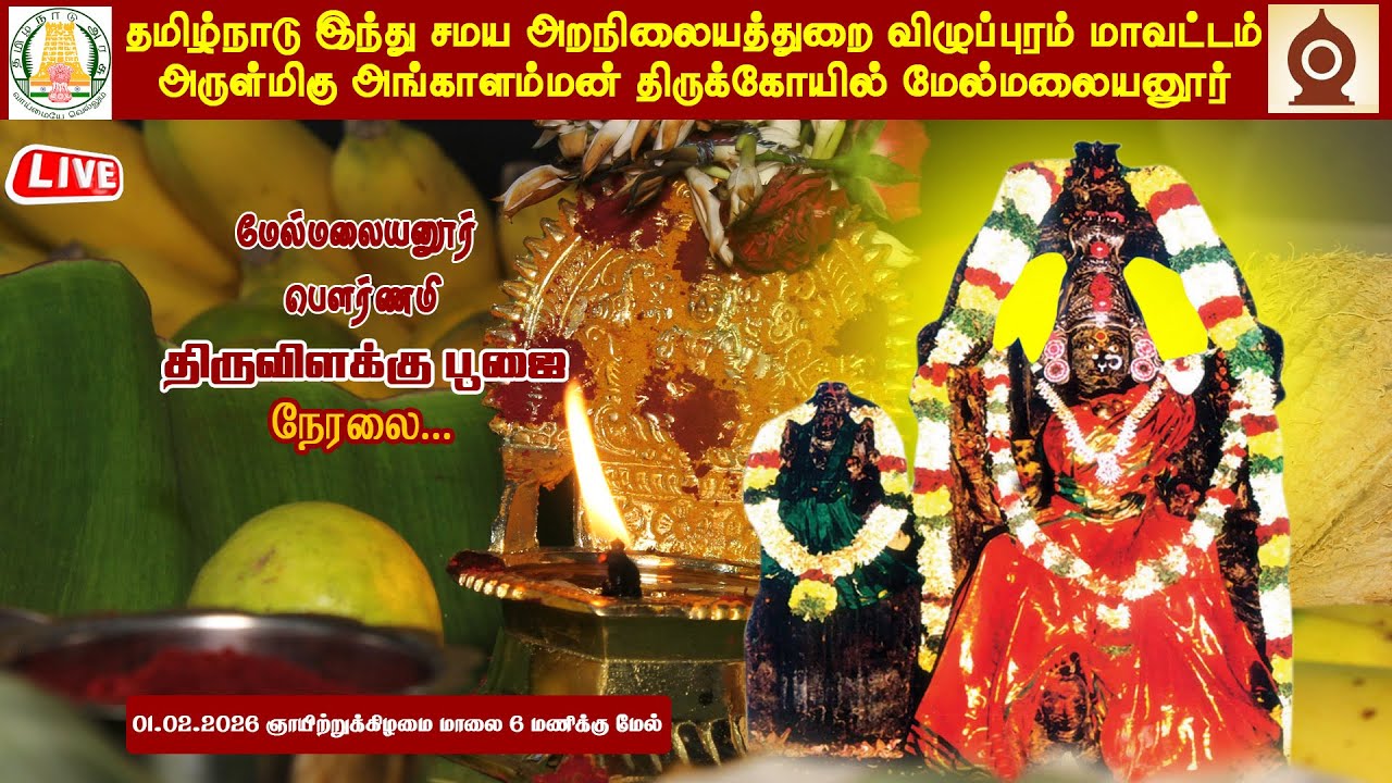 🔴LIVE:மேல்மலையனூர்  அங்காளம்மன் ஆலய தை மாத  பௌர்ணமி திருவிளக்கு பூஜை நேரலை II 01.02.2026