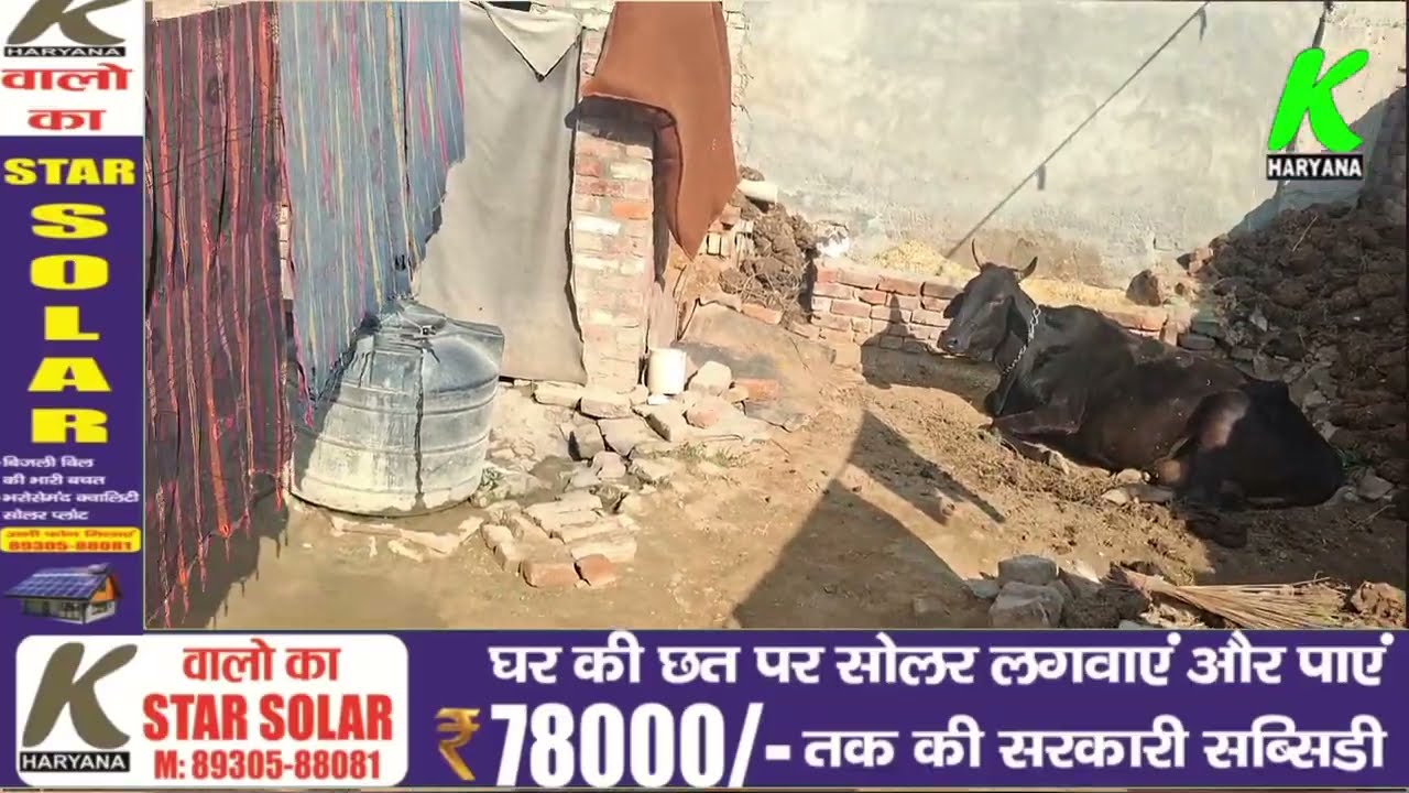 रानियां के इस युवक को नशे के कारण होने लगे शरीर पर जख्म,अब नशा छोड़ करवा रहा इलाज,दिया बड़ा संदेश।