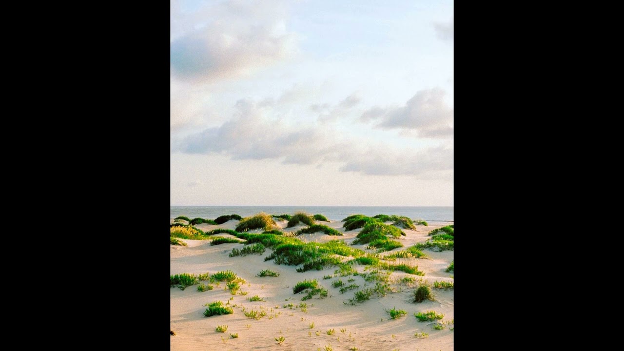 [FREE] Acoustic Indie Folk Type Beat - 