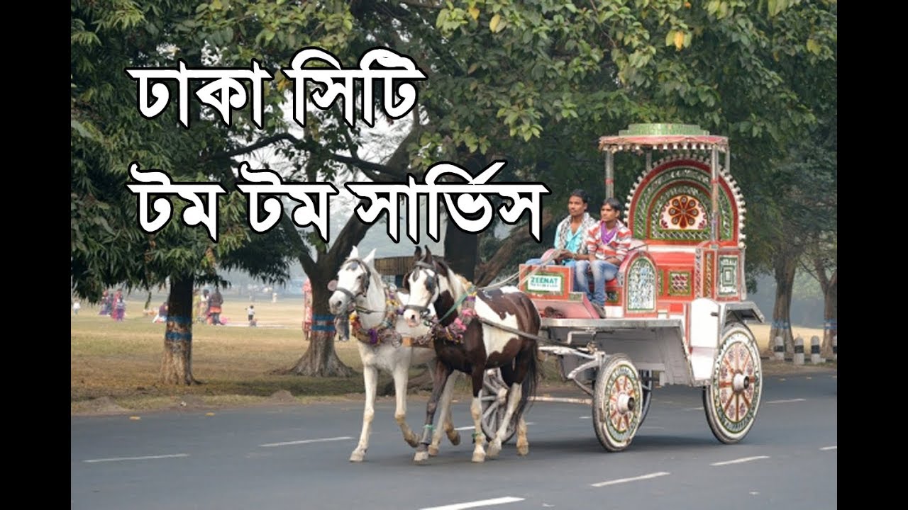 রাজকীয় ঐতিহ্যে ঘোড়ার গাড়ি, ঢাকা সিটি টম টম সার্ভিস