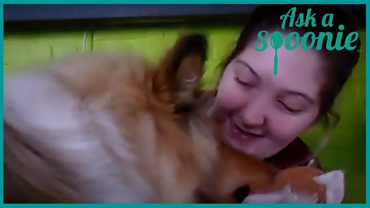 ASK A SPOONIE #13 FRIENDS & CHRONIC ILLNESS