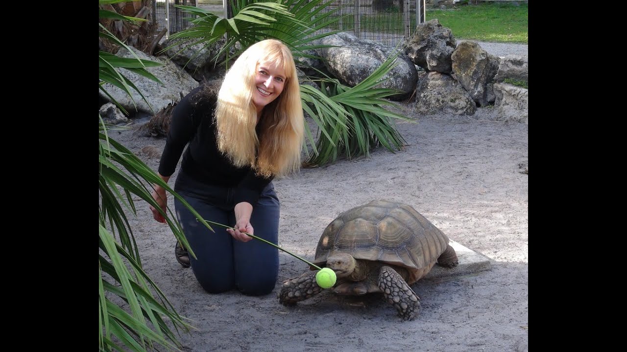 Exotic Animal Trainer Barbara Heidenreich