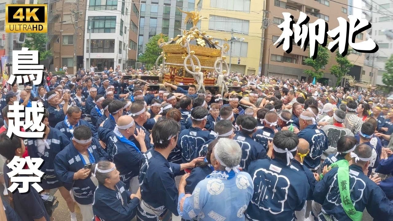 【鳥越祭り】柳北の本社神輿渡御　～2024年～