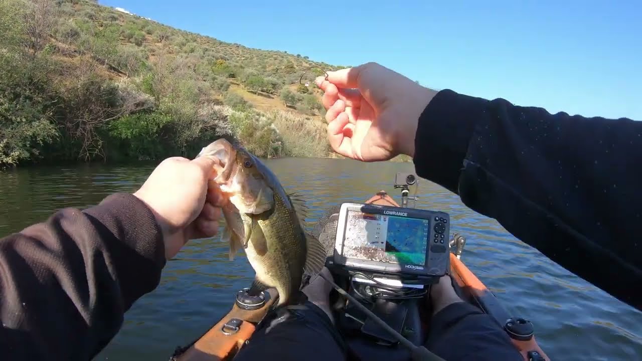 Pesca ao achigã: Uma aventura emocionante na natureza