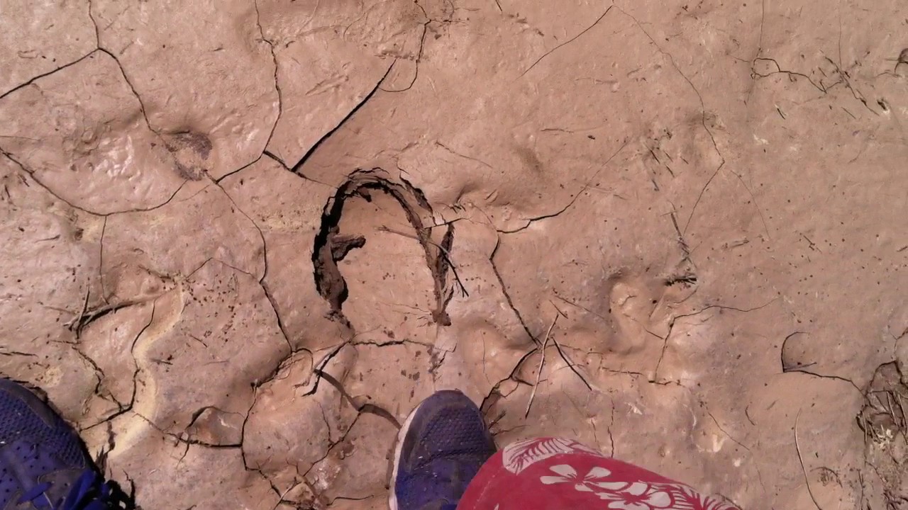 Quick Mud and What to Look For to Stay Safe in the Desert