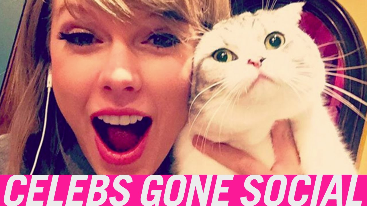 Top 5 Times We Wished We Were Taylor Swift's Cats