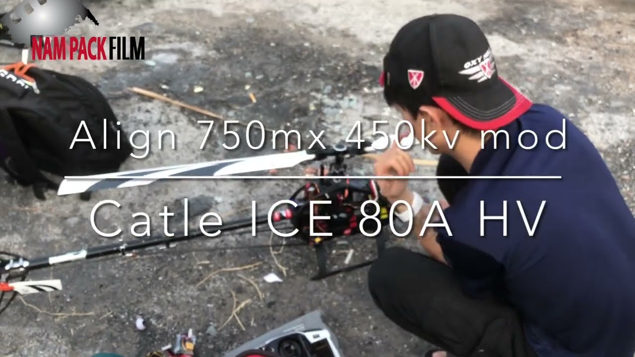 Logo 600 with Align 750mx repair