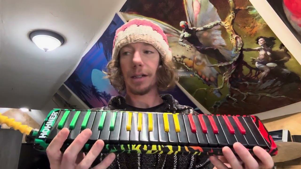 Hohner RASTA Airboard