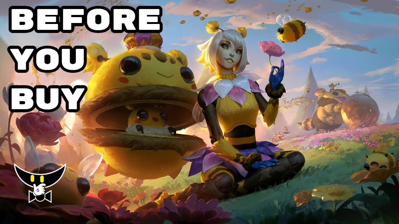 Before You Buy Orbeeanna