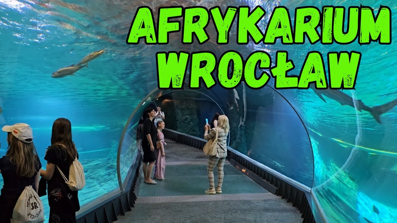 Afrykarium ZOO Wrocław – Spacer po największym oceanarium w Polsce