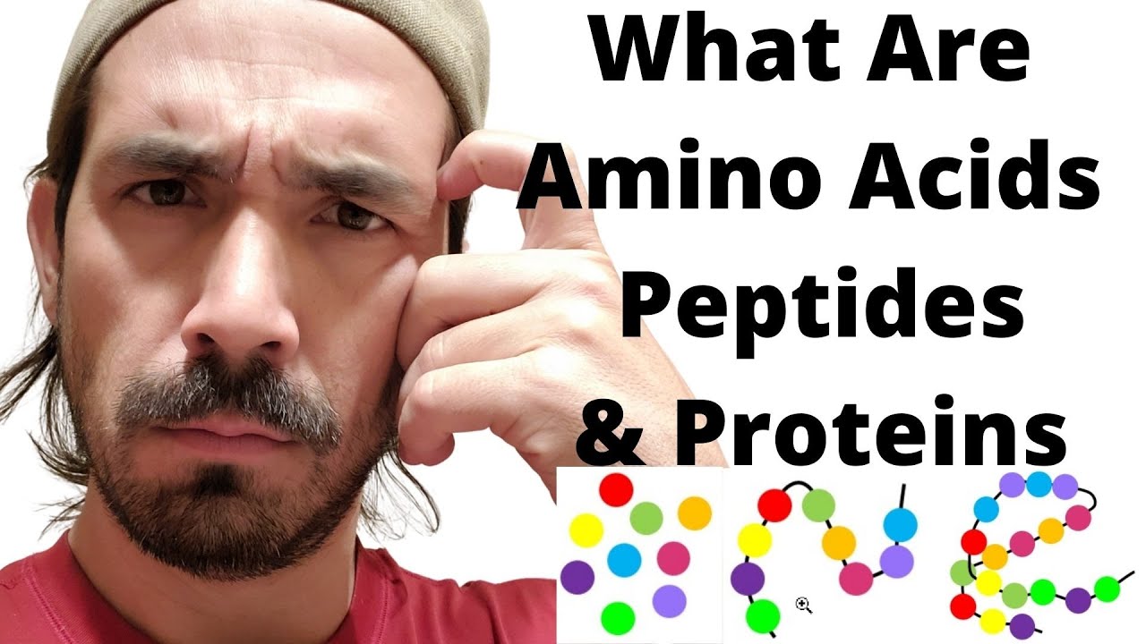 Amino Acids, Peptides, and Proteins