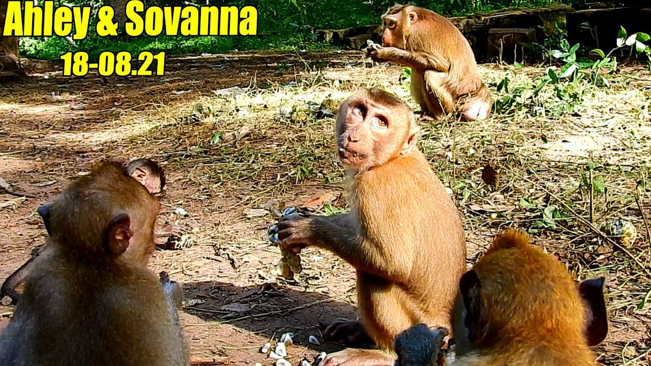 What Happen To You Ashley? Unbelievable Warrior Often Comes here Even Amari Have Gone To South Gate.