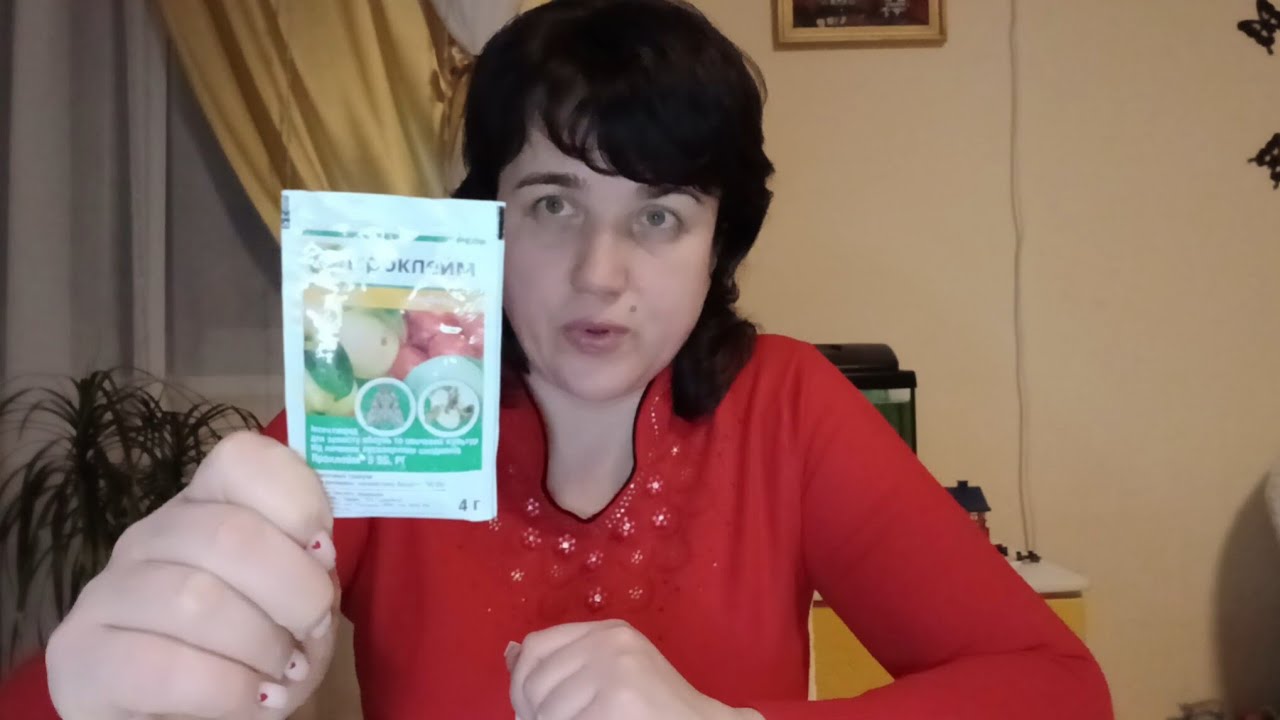 Все про помідори:схема підживлення і обробки.
