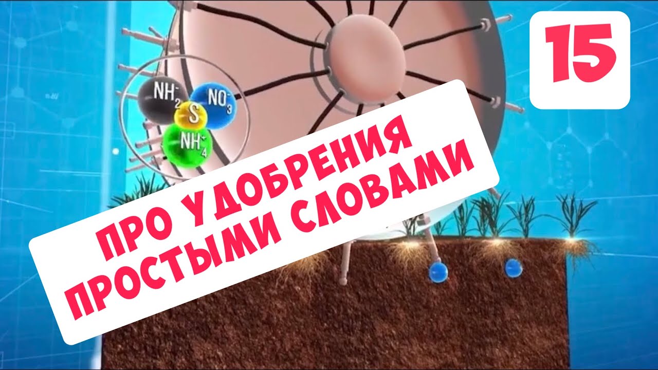 ПРОСТО О СЛОЖНОМ ... ПРО УДОБРЕНИЯ ...