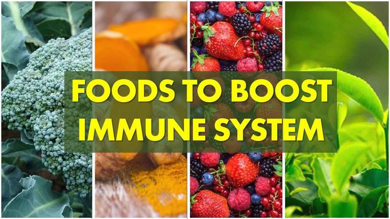 Immune System Foods | 20 Best Foods To Boost Immune System