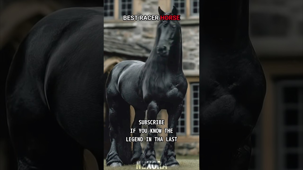 POV: The Fastest Racehorse in History 🐎💨 
