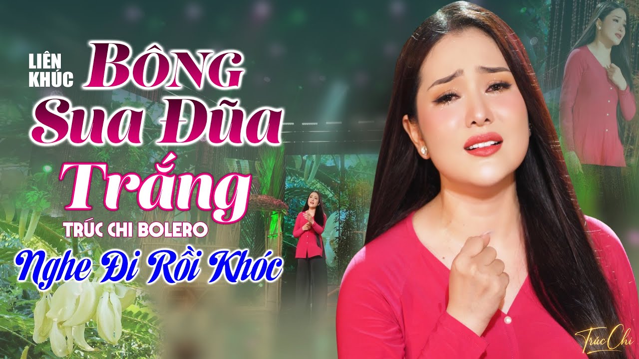 LK BÔNG SUA ĐŨA TRẮNG Mới Nhất 2026 - Trúc Chi, Ngọc Nữ Xinh Đẹp Hát Nhạc Vàng Làm Say Triệu Con Tim
