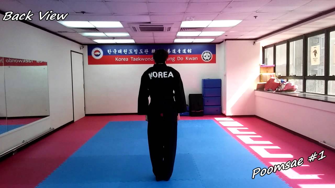 Taekwondo - Poomsae 1 (Il Jang) Slow-motion & Mirror
