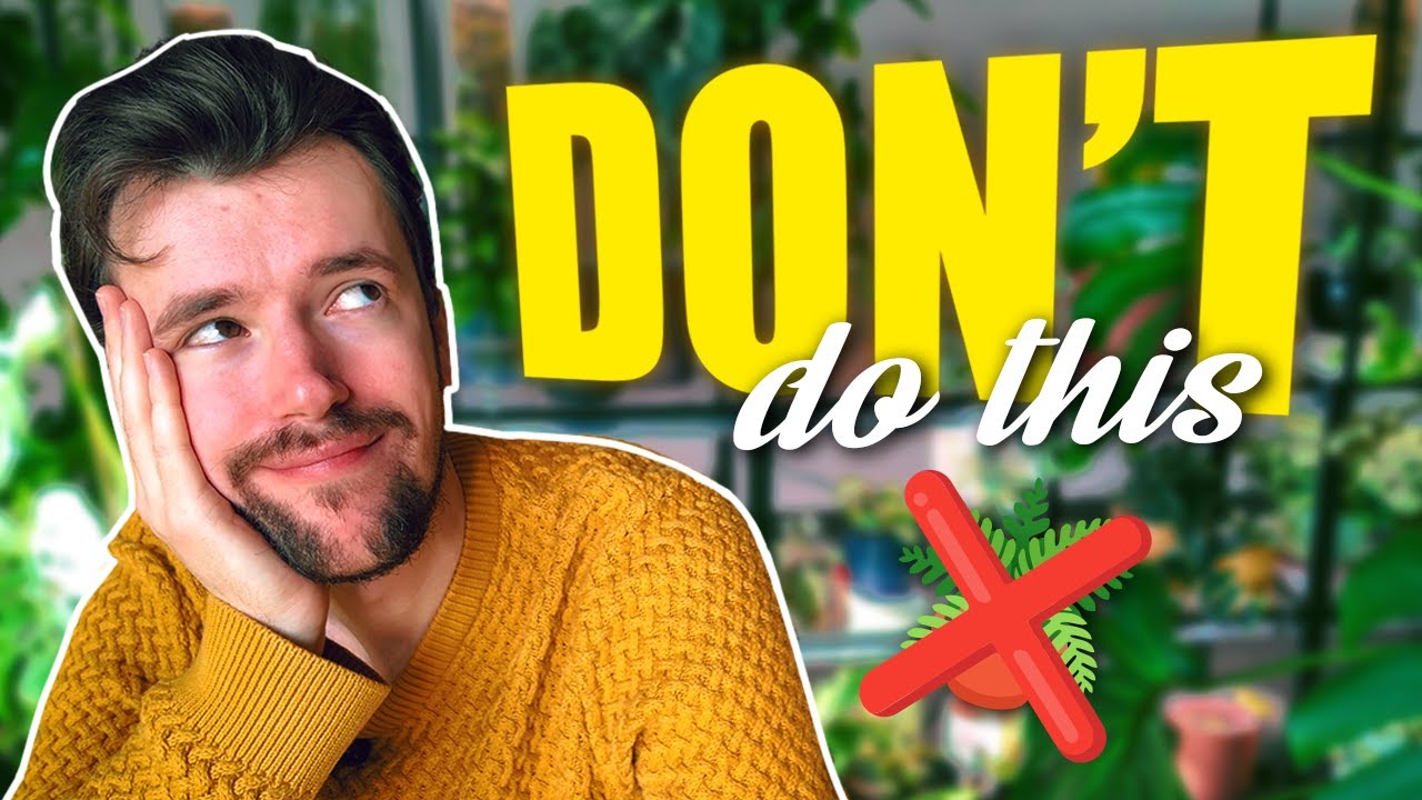 5 Popular Houseplant Tips I DON'T Follow 🤷&zwj;♂️ (and Why YOU Don&rsquo;t Need To Either)