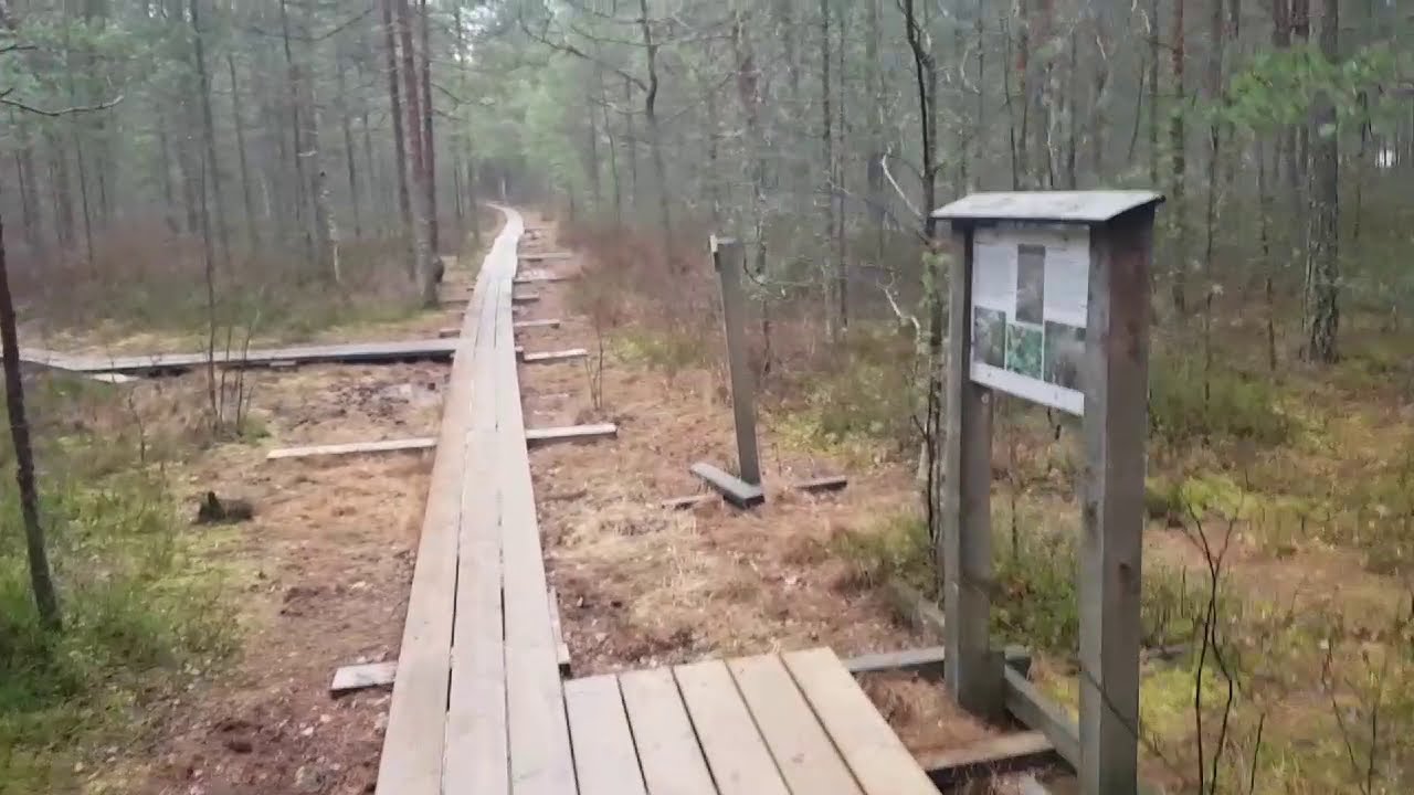 Luonnonsuojelualue Kauniaisissa / Nature conservation area in Kauniainen