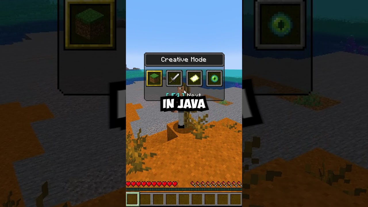 Minecraft Java VS Bedrock Facts You Will LIKE!