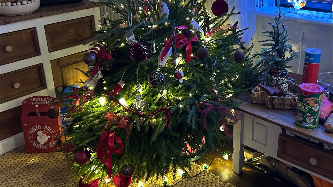 Festive fun with family with a difference. 🎄