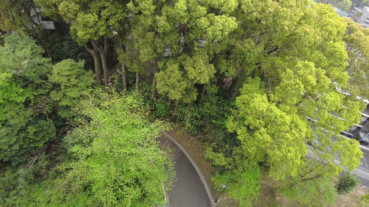 On the Campus of the Yokohama National University (4K UHD)